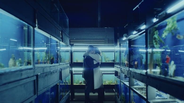 Little Fish image