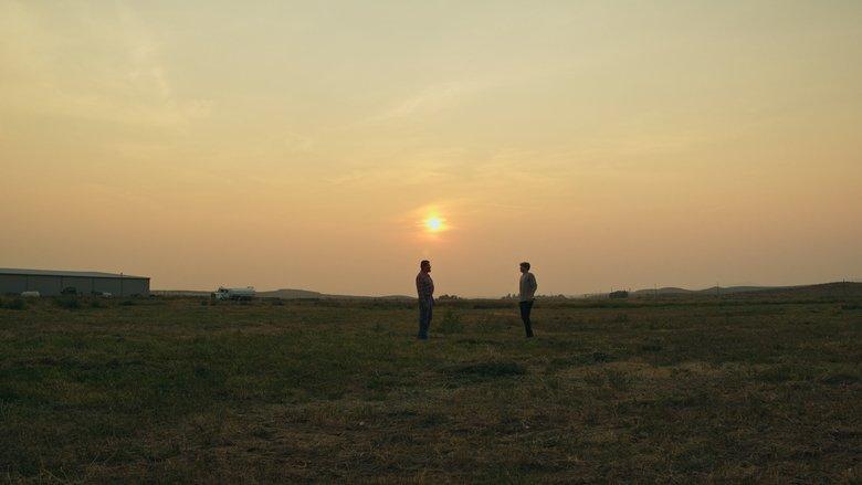 The Summer Field image