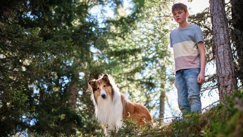 Lassie: A New Adventure image