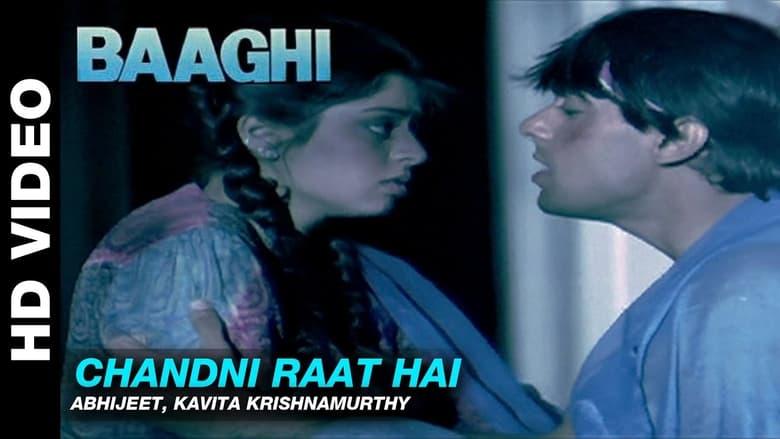 Baaghi: A Rebel for Love image