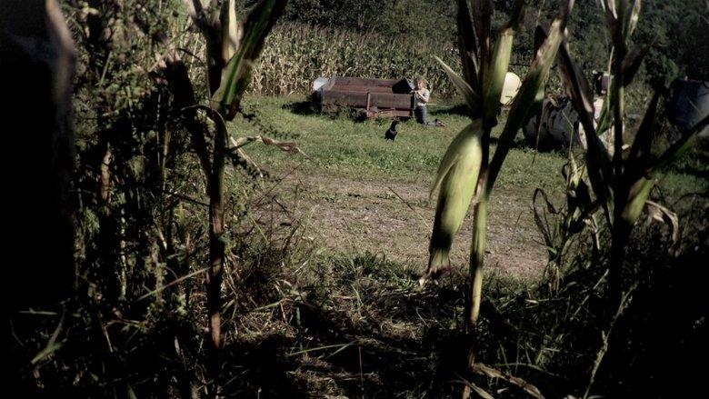 The Fields image