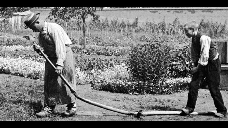 The Sprinkler Sprinkled image