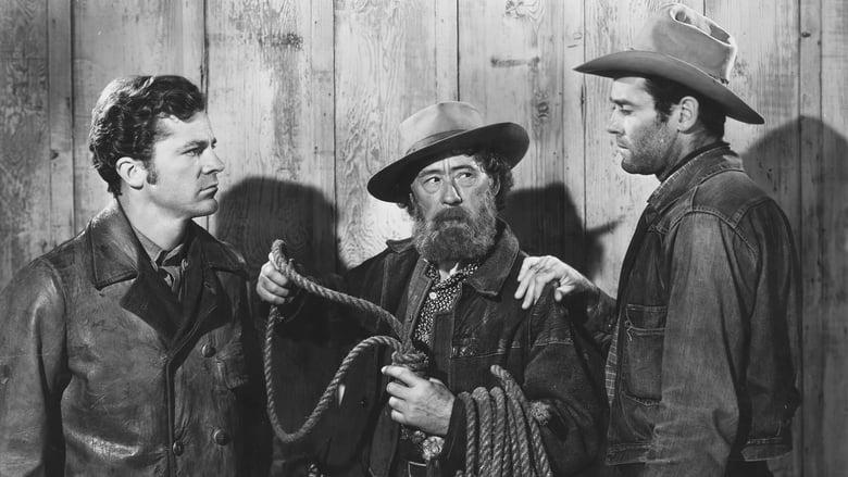 The Ox-Bow Incident image