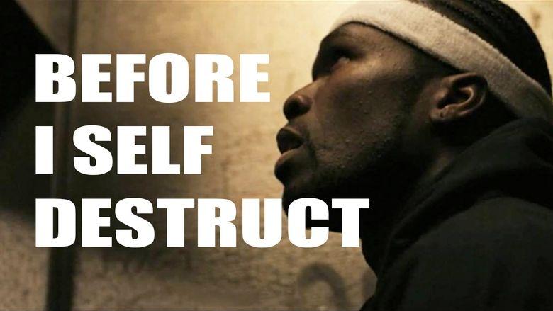 Before I Self Destruct image