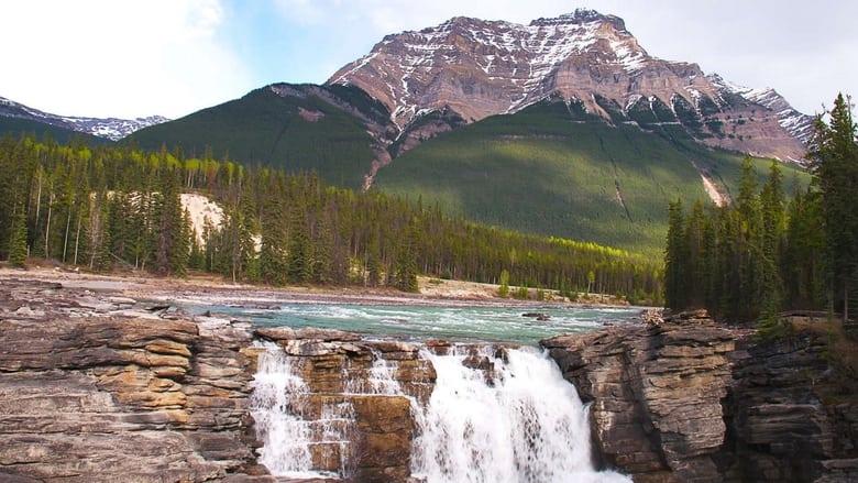 Wild Rockies image