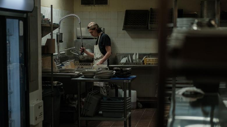 The Dishwasher image