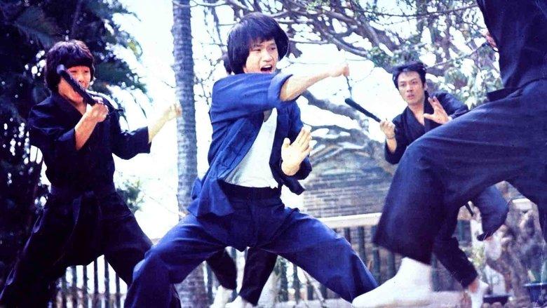 Bruce Le's Greatest Revenge image