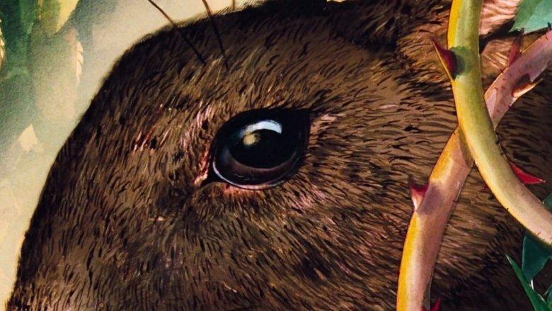 Watership Down image