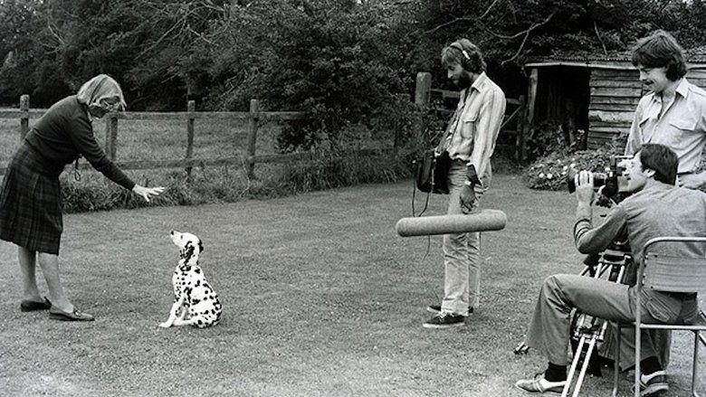 Training Dogs the Woodhouse Way image