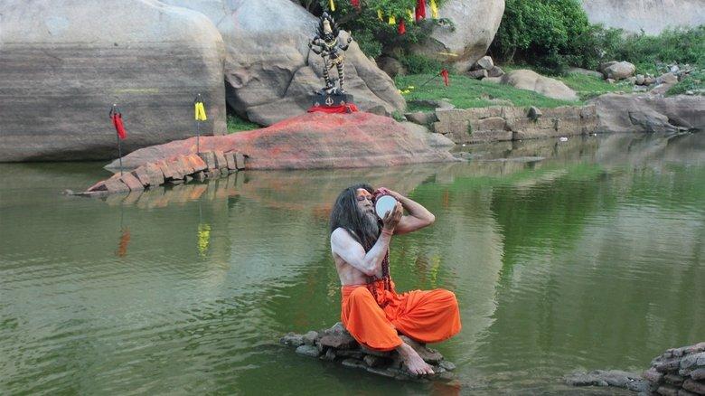 Pandimuni image