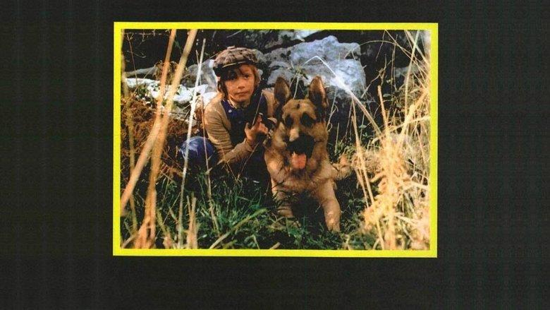 White Fang and the Kid image
