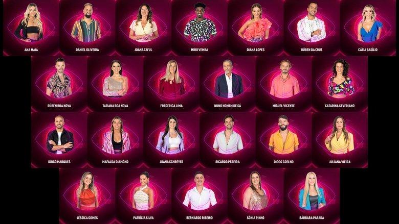 Big Brother image