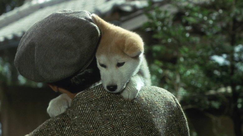 Hachiko image