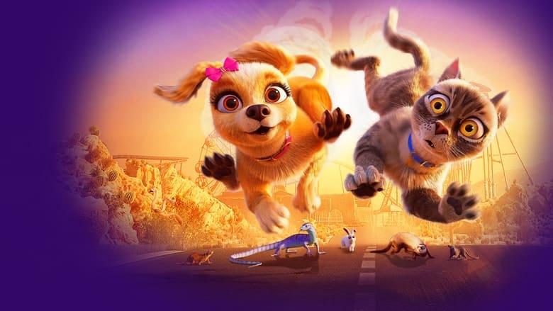 Gracie & Pedro: Pets to the Rescue image