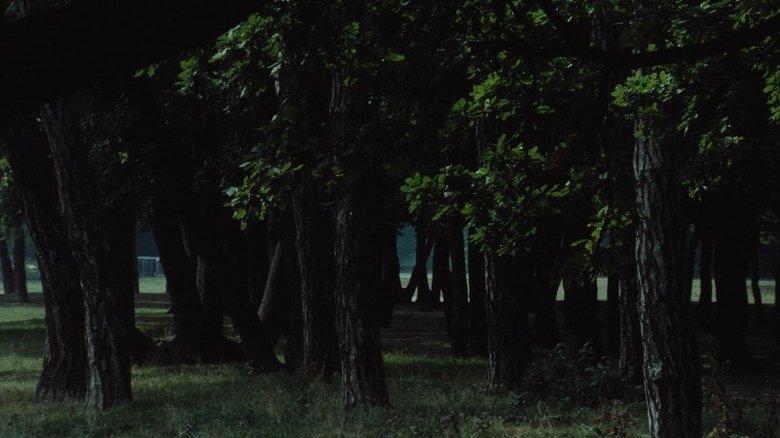 Le Navire Night image