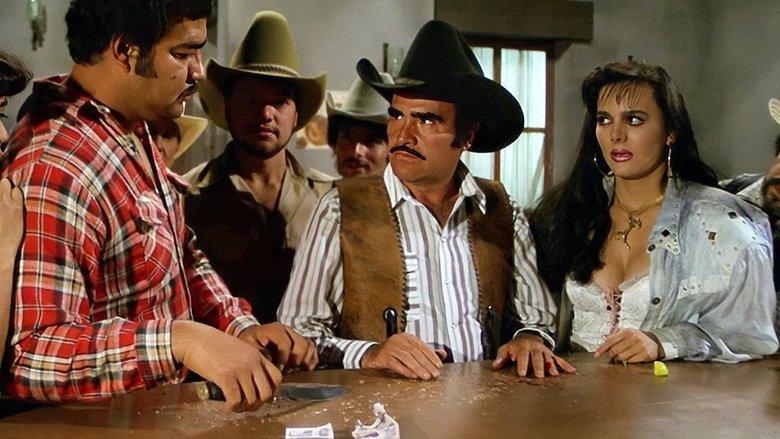 El cuatrero image