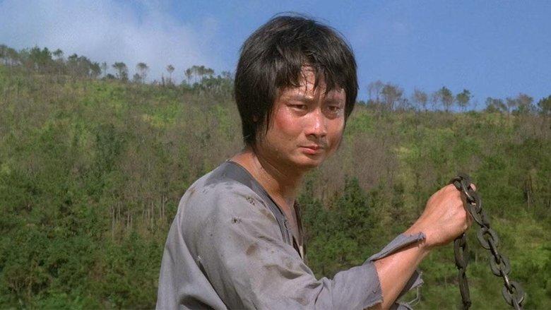 Monkey Kung Fu image