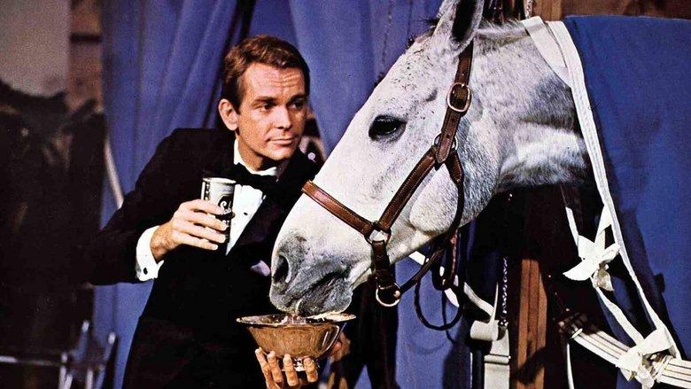 The Horse in the Gray Flannel Suit image