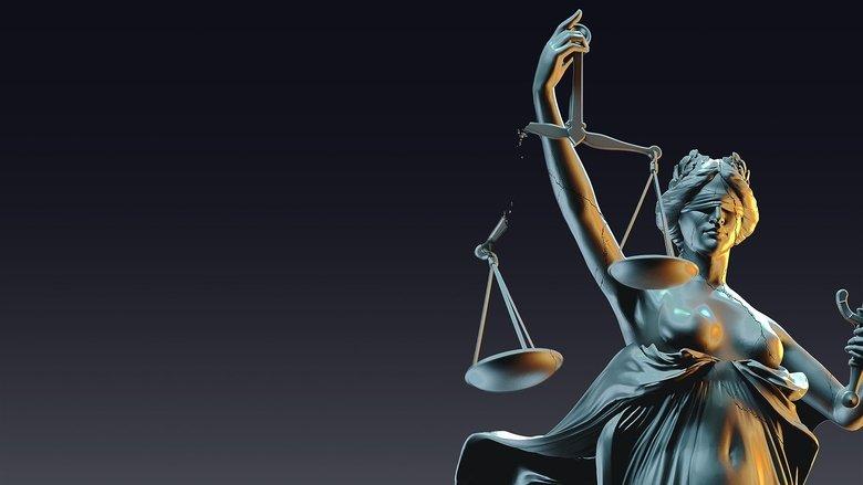 Wrongly Accused image