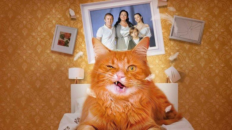 Cat-astrophe image