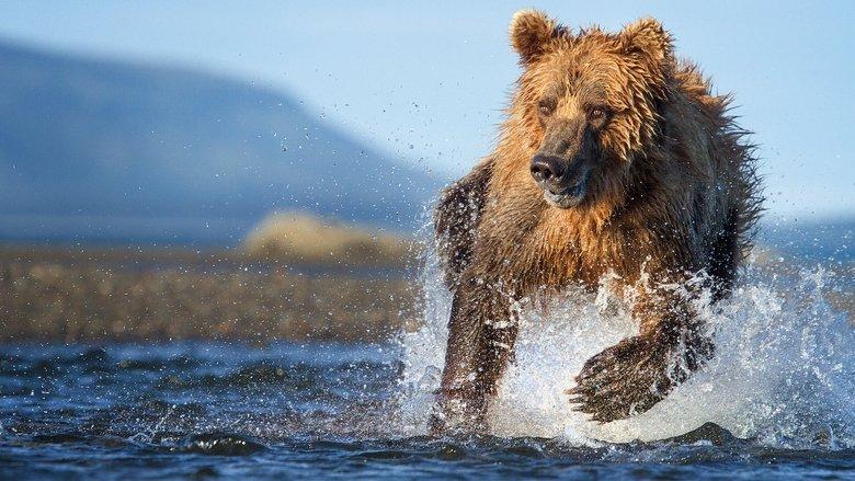 The Hunt image