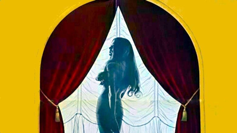 All the Young Wives image