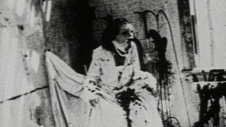 Begotten image