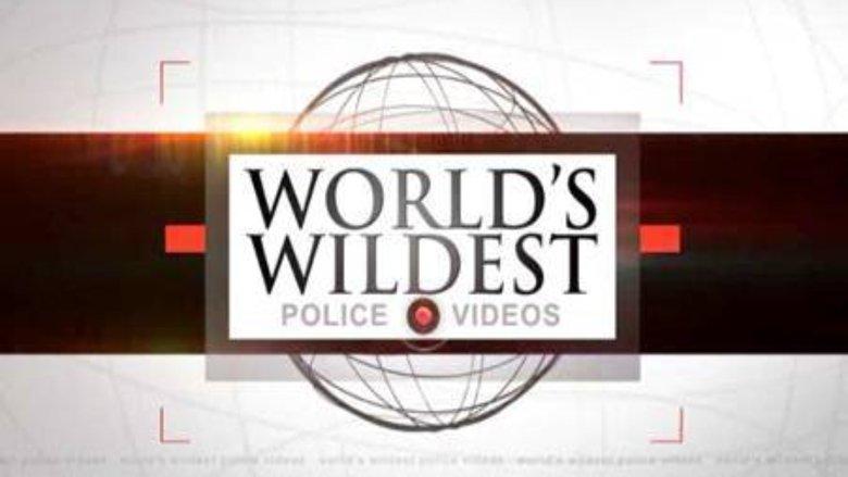 World's Wildest Police Videos image