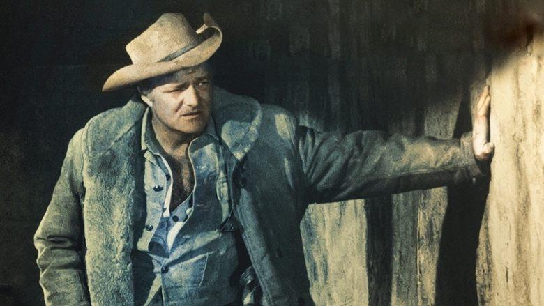 The Westerner image