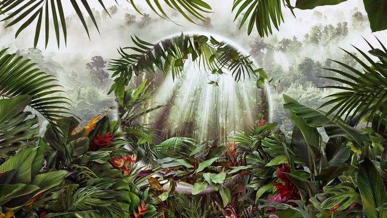 The Green Planet image