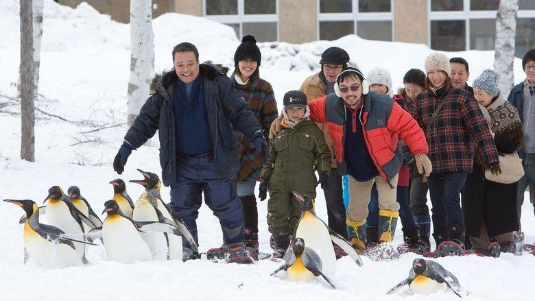 Asahiyama Zoo Story: Penguins in the Sky image
