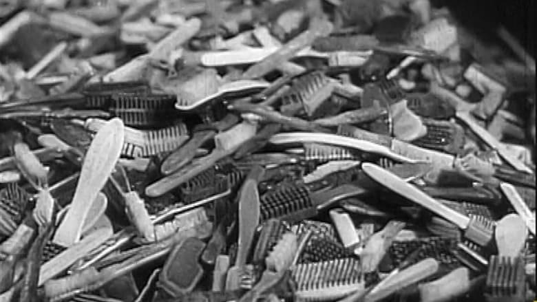 Shoah, les oubliés de l'histoire image