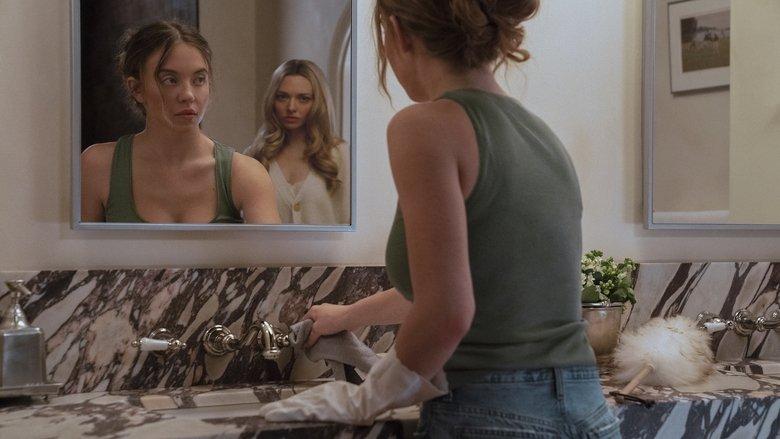 The Housemaid image