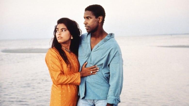 Mississippi Masala image