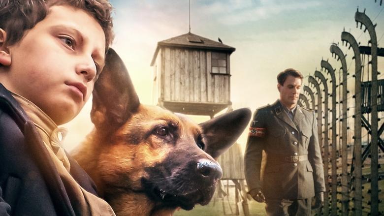 Shepherd: The Story of a Jewish Dog image