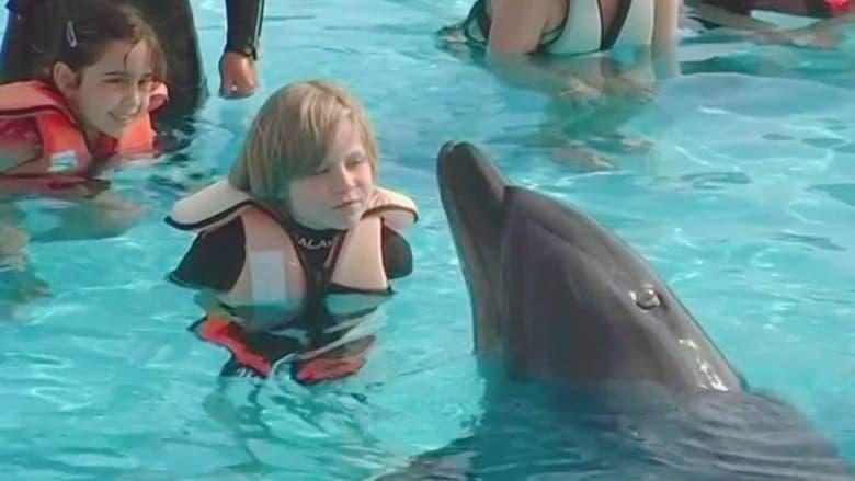 Saving Flipper image