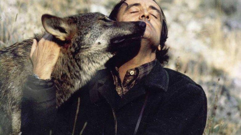 El Hombre y la Tierra image