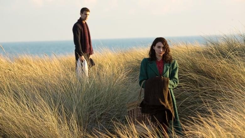 The Secret Scripture image