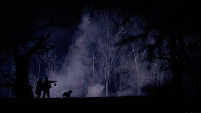 The Hollow Tree image