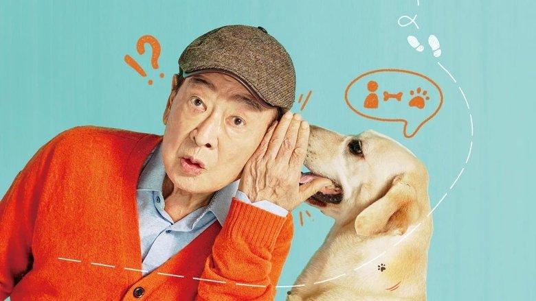 Dog Knows Everything image