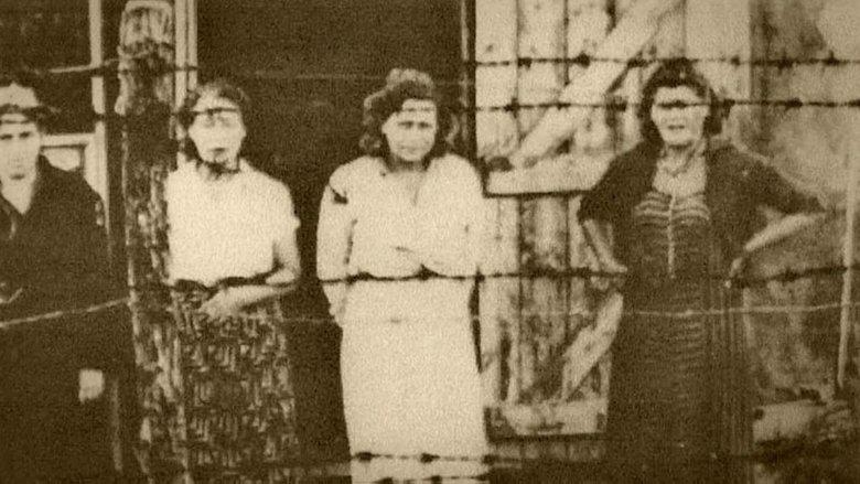 Gurs, un silence assourdissant image