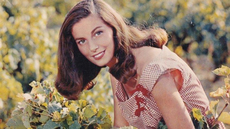 The Vintage image