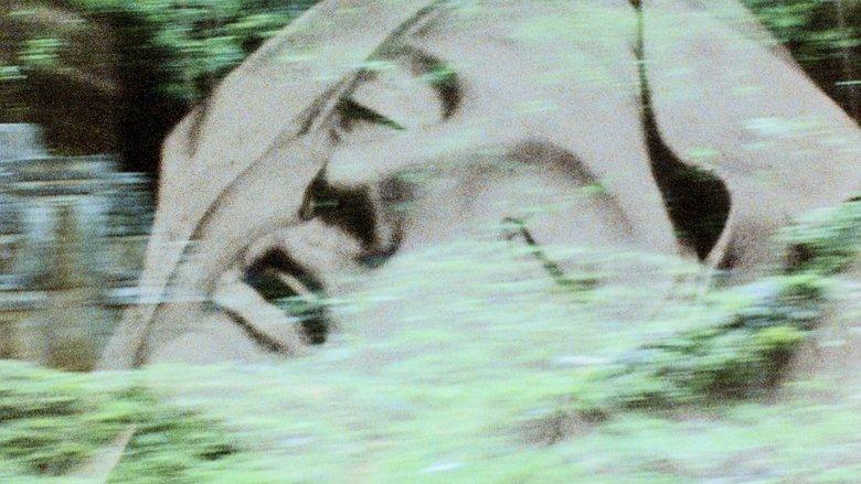 Lamentations: A Monument for the Dead World image
