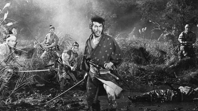 Yagyu Secret Scrolls: Ninjitsu - Part II image