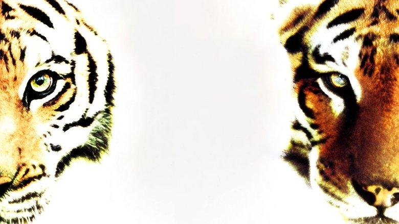 Two Brothers image
