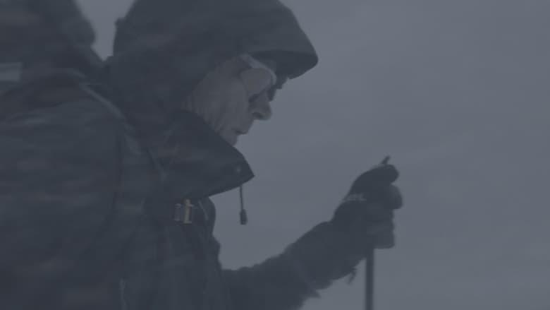 Wandering in the White image
