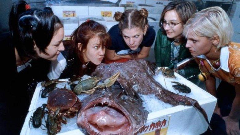 Freundinnen & andere Monster image