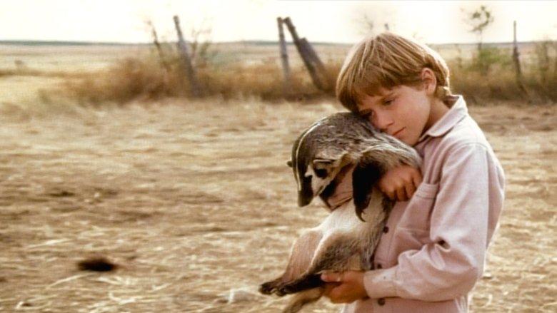 The Boy Who Talked to Badgers image