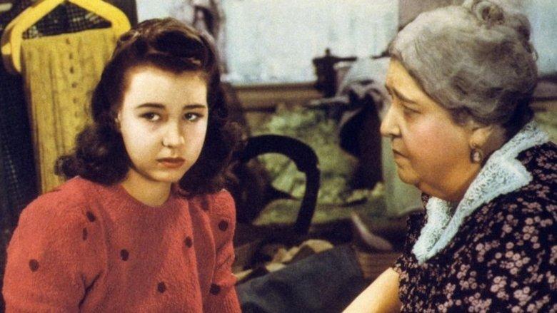 Young America image