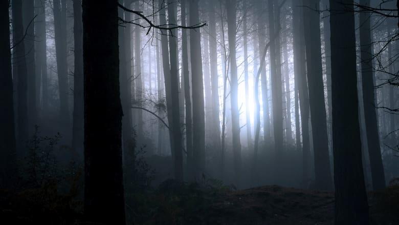 Finding Bigfoot image